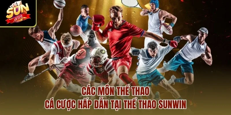 Các môn thể thao cá cược hấp dẫn tại Thể Thao Sunwin