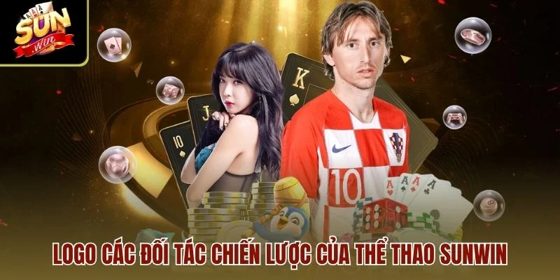 Logo các đối tác chiến lược của Thể Thao Sunwin